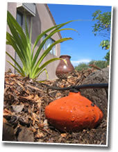 wetpot